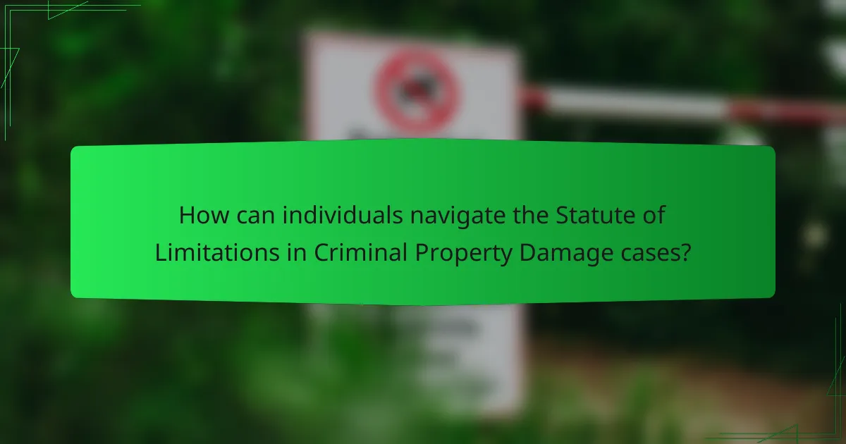 How can individuals navigate the Statute of Limitations in Criminal Property Damage cases?