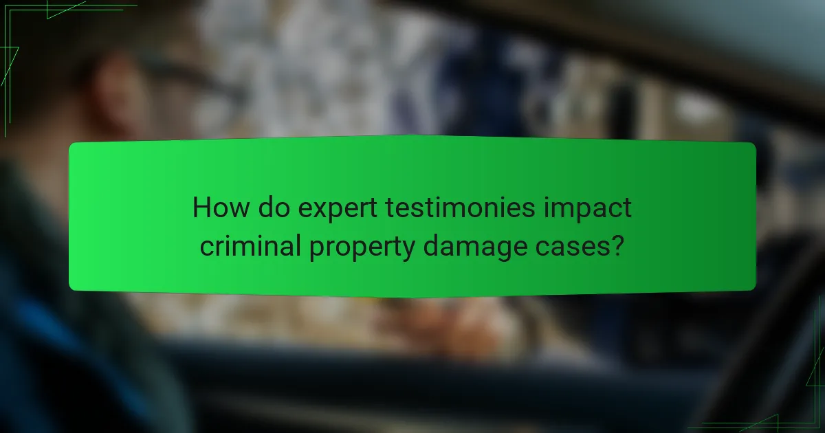 How do expert testimonies impact criminal property damage cases?