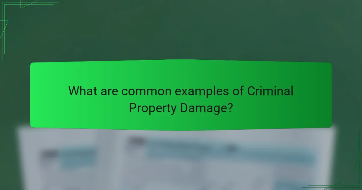 What are common examples of Criminal Property Damage?