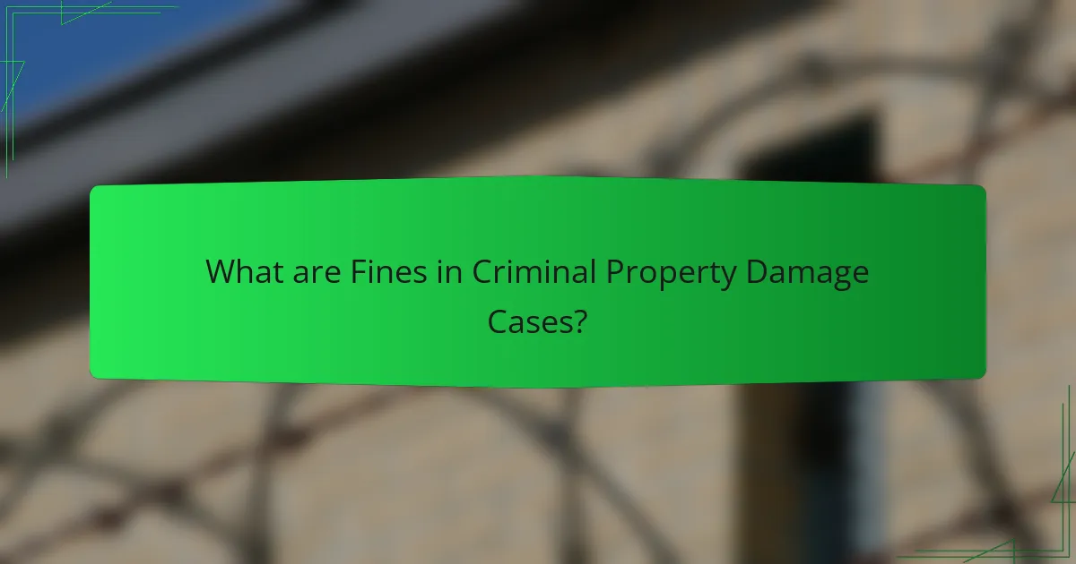 What are Fines in Criminal Property Damage Cases?