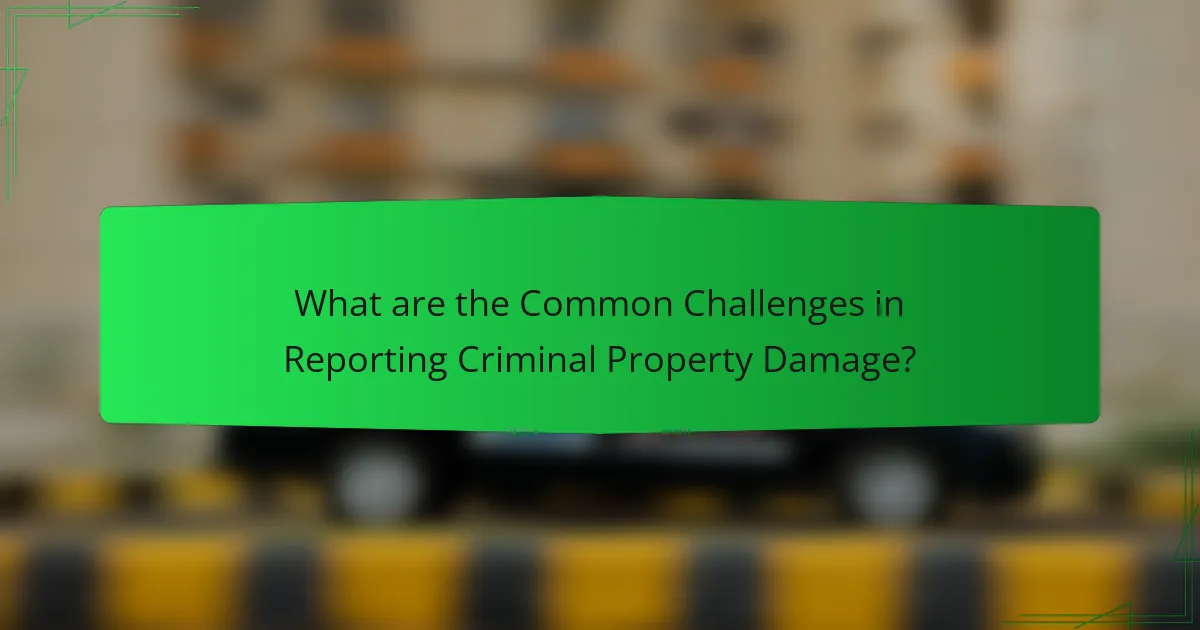What are the Common Challenges in Reporting Criminal Property Damage?