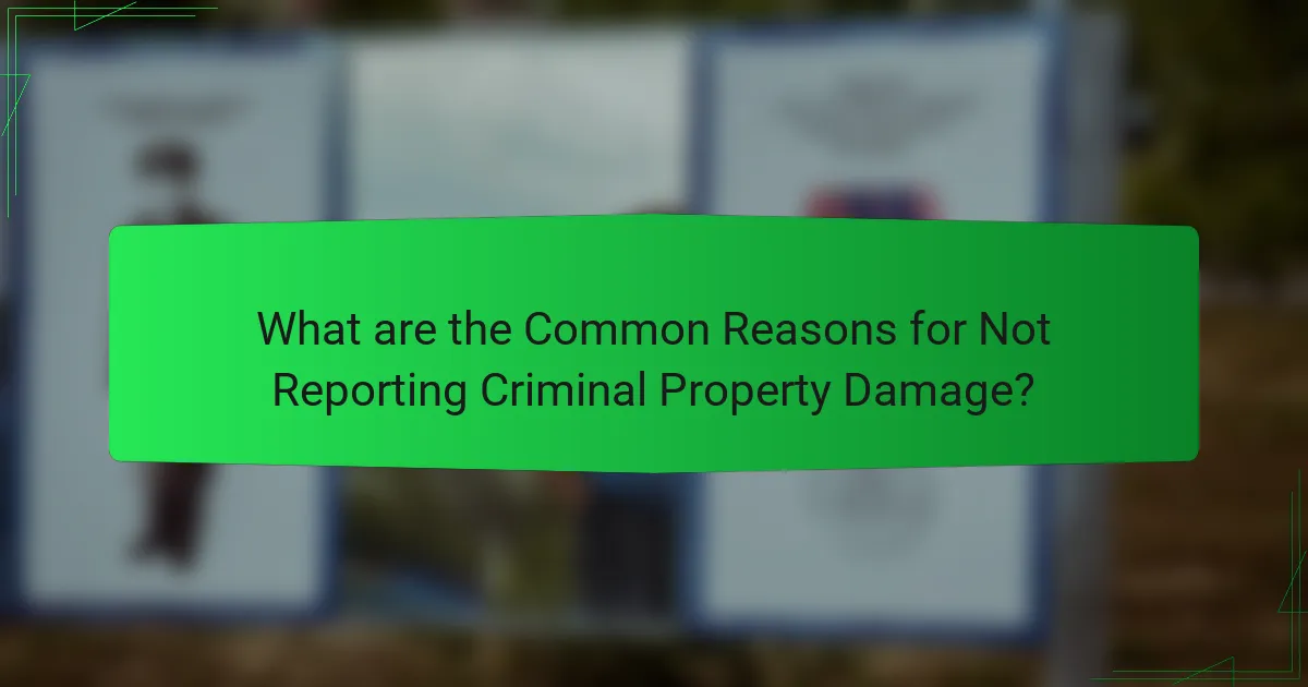 What are the Common Reasons for Not Reporting Criminal Property Damage?
