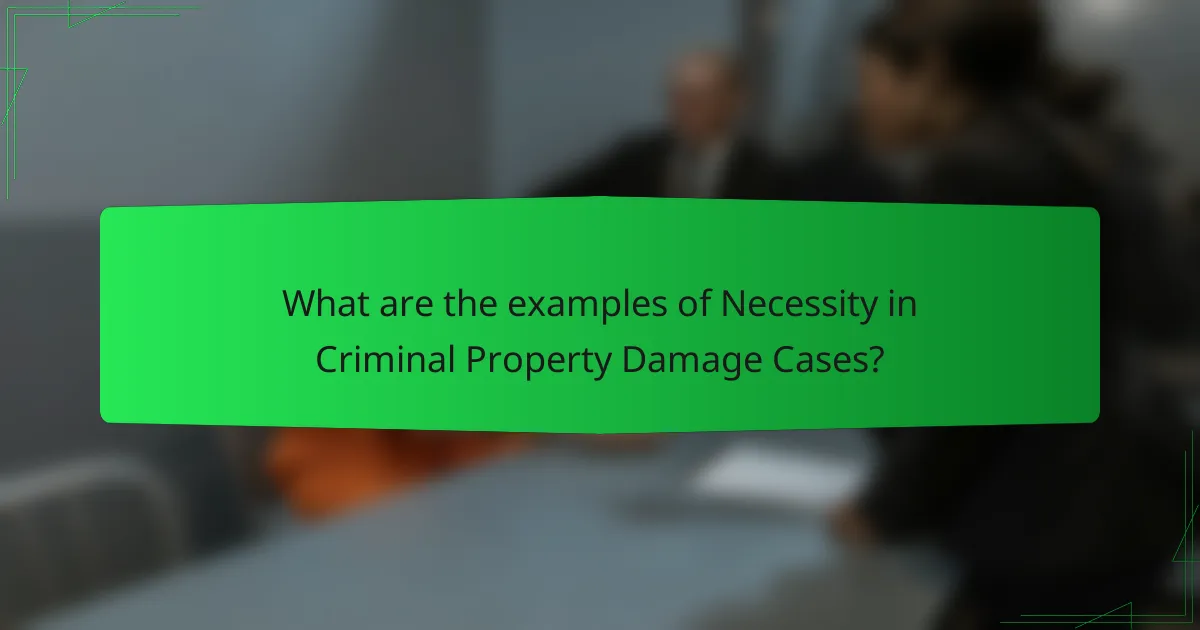 What are the examples of Necessity in Criminal Property Damage Cases?
