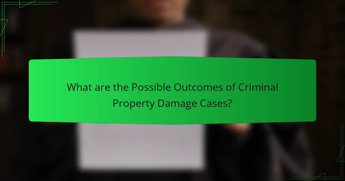 What are the Possible Outcomes of Criminal Property Damage Cases?