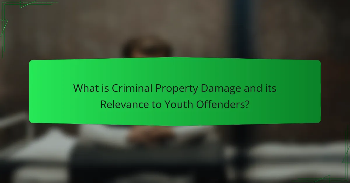 What is Criminal Property Damage and its Relevance to Youth Offenders?