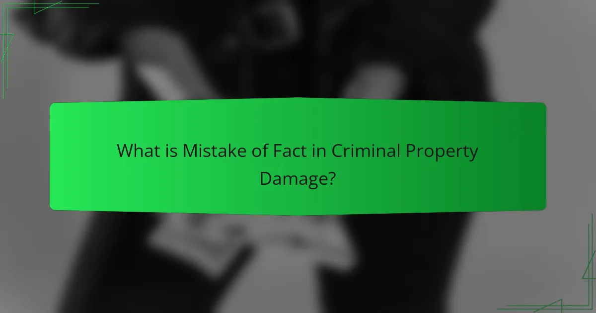 What is Mistake of Fact in Criminal Property Damage?