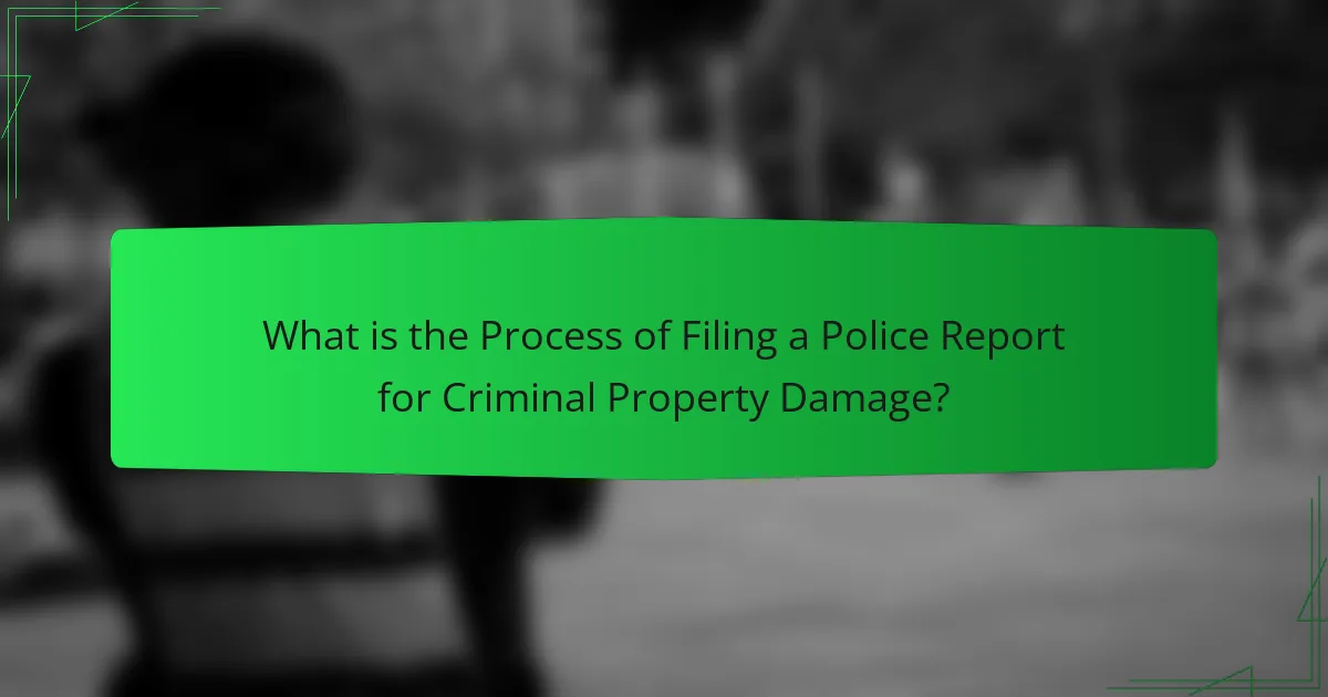 What is the Process of Filing a Police Report for Criminal Property Damage?