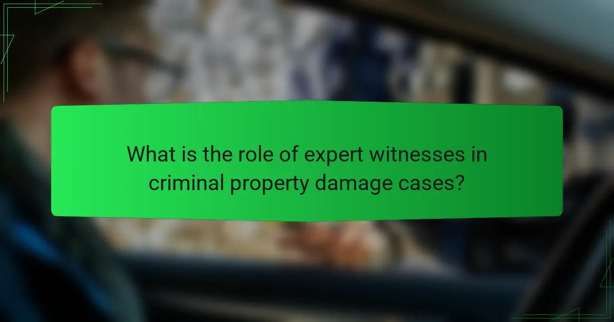 What is the role of expert witnesses in criminal property damage cases?