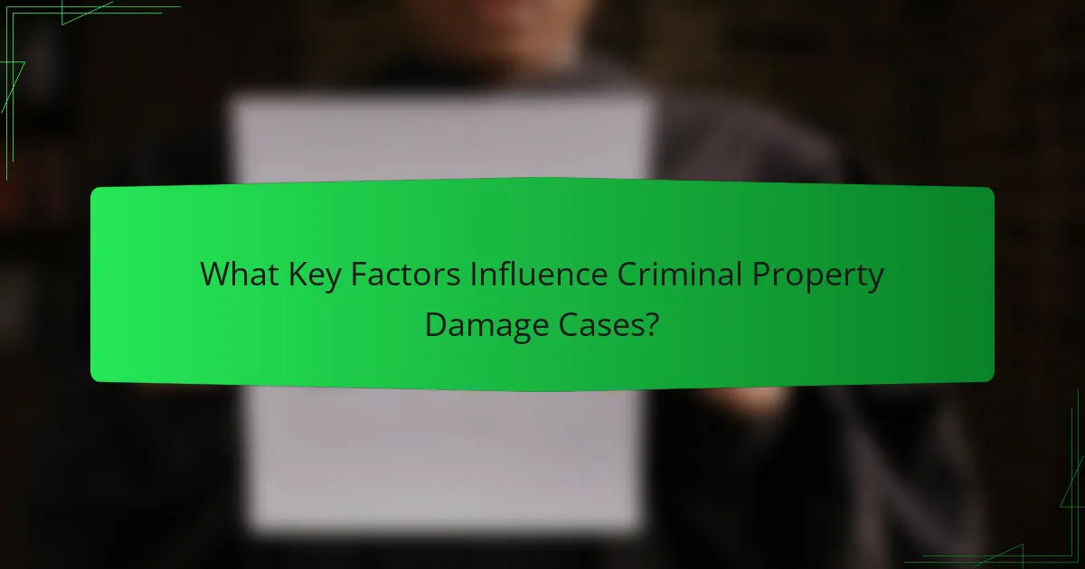 What Key Factors Influence Criminal Property Damage Cases?
