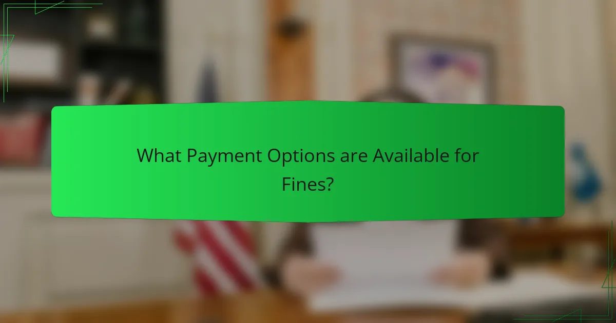What Payment Options are Available for Fines?