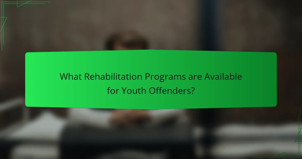 What Rehabilitation Programs are Available for Youth Offenders?