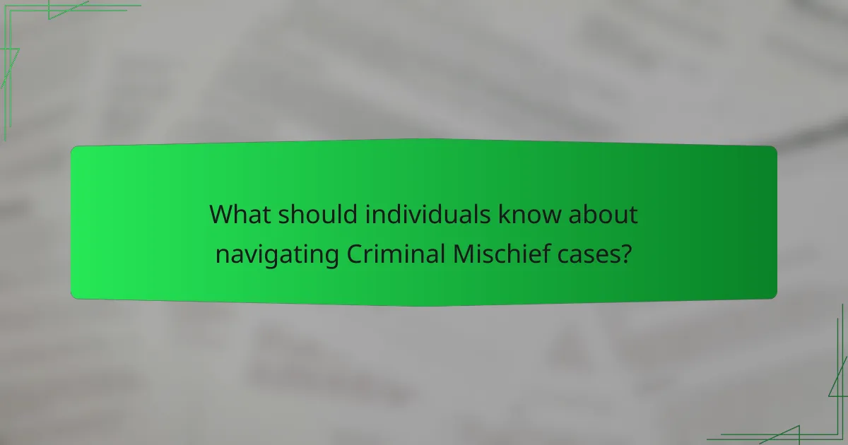 What should individuals know about navigating Criminal Mischief cases?