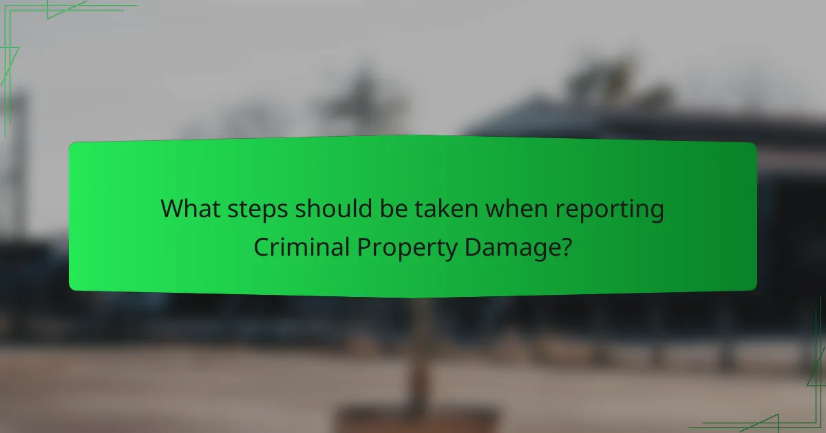 What steps should be taken when reporting Criminal Property Damage?